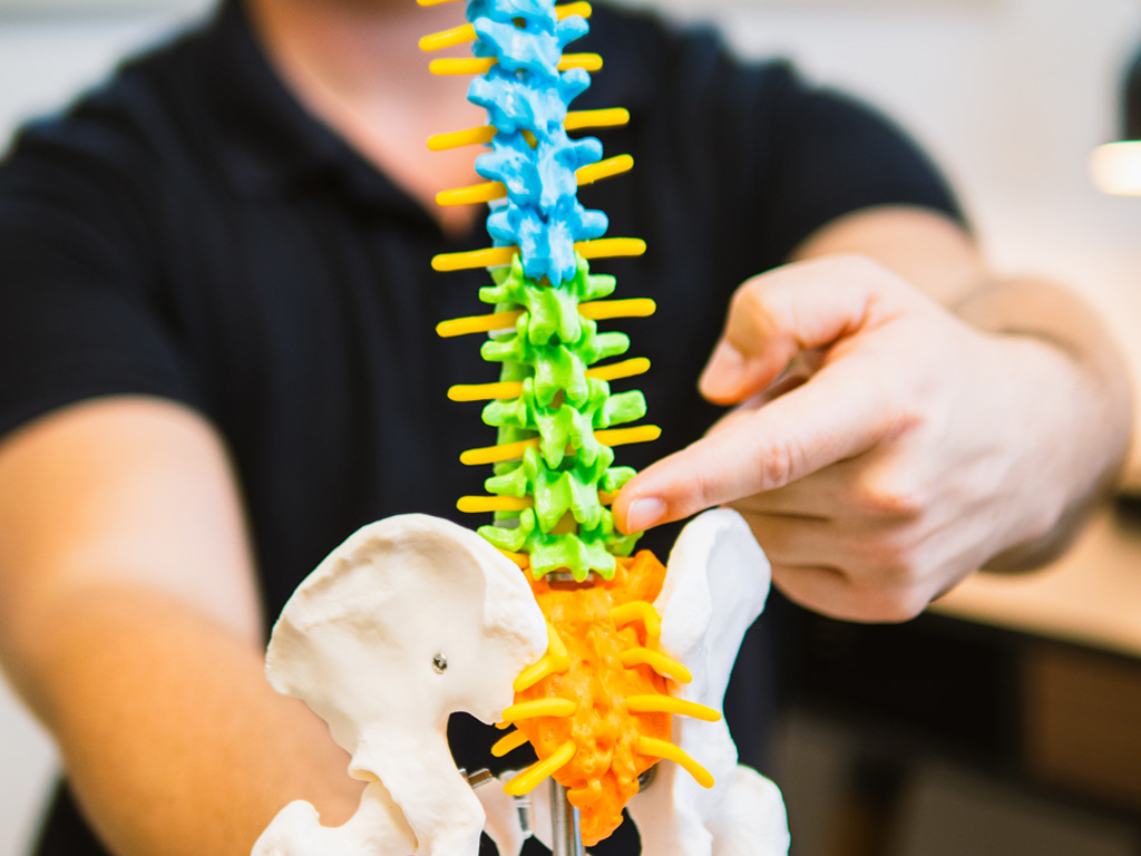 Chiropractic Care Cheltenham